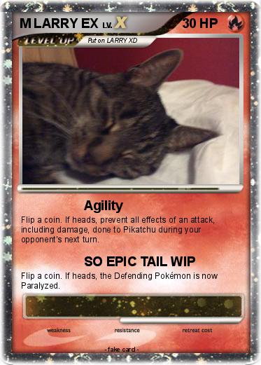 Pokemon M LARRY EX