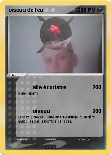 Pokemon oiseau de feu