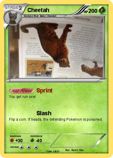 Pokemon Cheetah