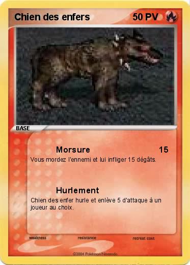 Pokemon Chien des enfers