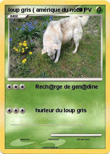 Pokemon loup gris ( amérique du nord )