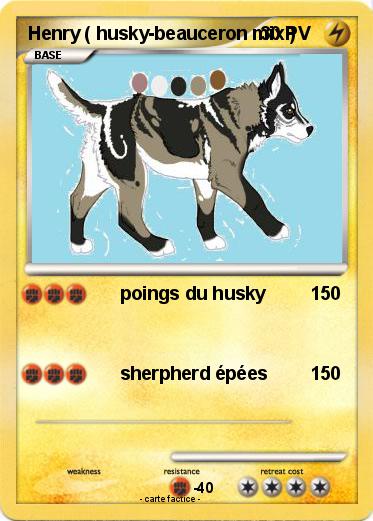 Pokemon Henry ( husky-beauceron mix )