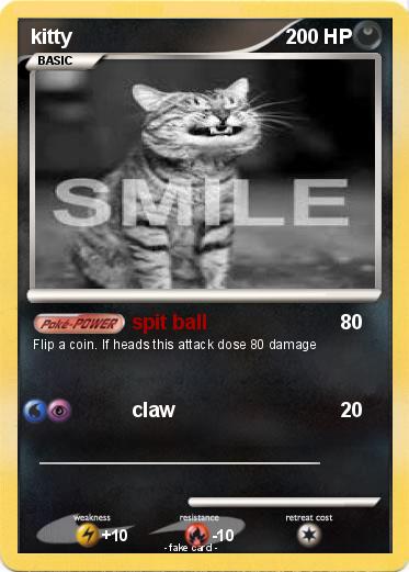 Pokemon kitty
