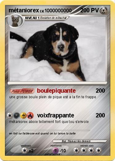 Pokemon métaniorex