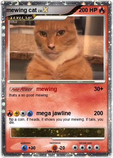 Pokemon mewing cat