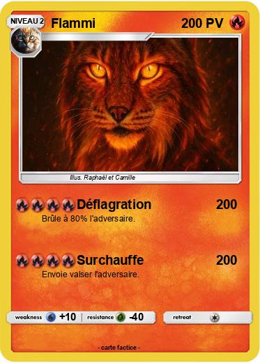 Pokemon Flammi
