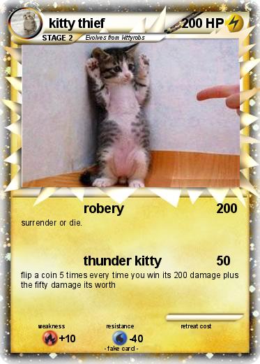 Pokemon kitty thief