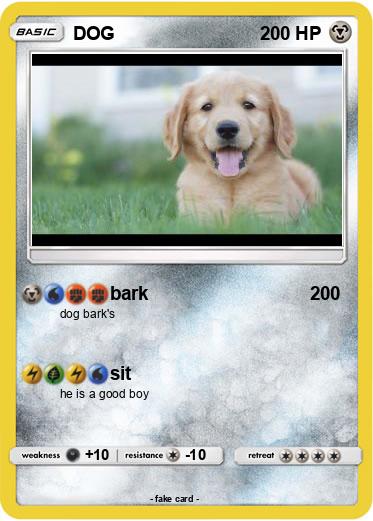 Pokemon DOG