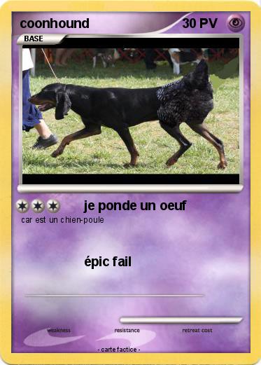 Pokemon coonhound
