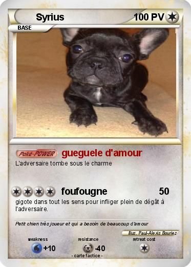 Pokemon Syrius