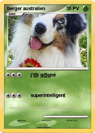 Pokemon berger australien