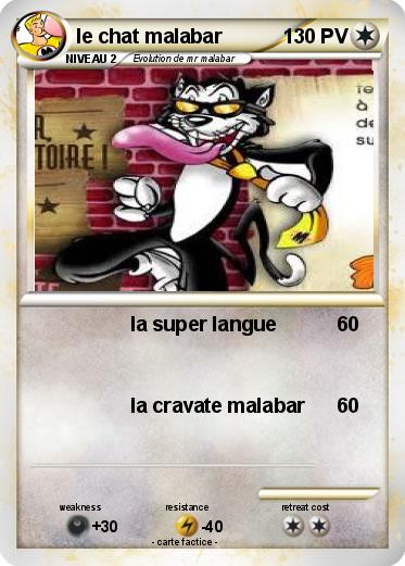Pokemon le chat malabar