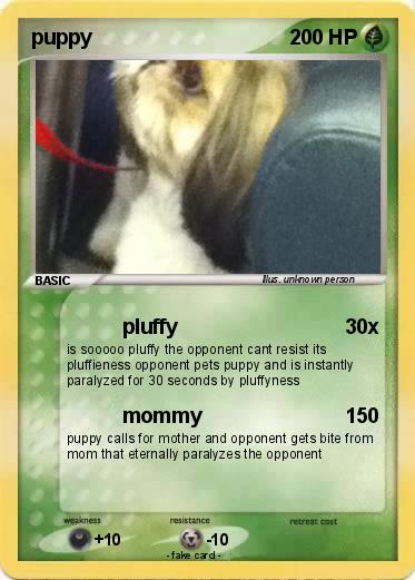 Pokemon puppy