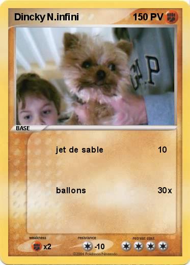 Pokemon Dincky N.infini