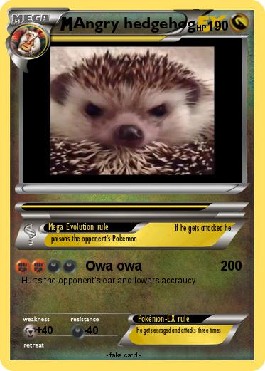 Pokemon Angry hedgehog