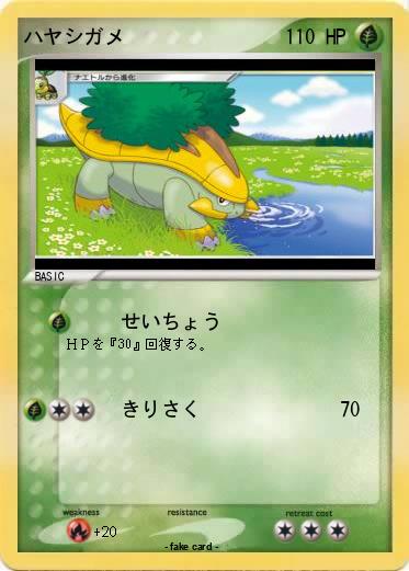 Pokemon ハヤシガメ
