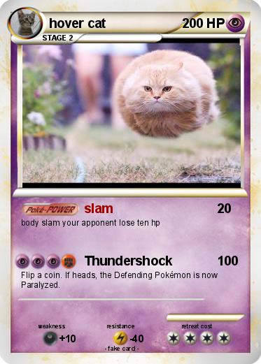 Pokemon hover cat