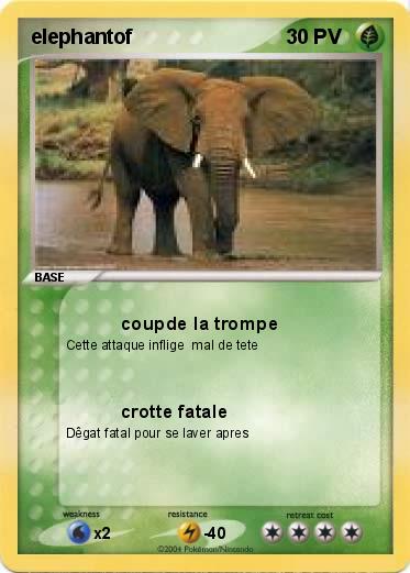 Pokemon elephantof