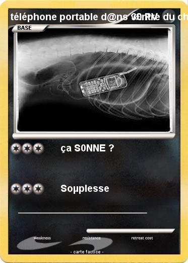 Pokemon téléphone portable d@ns v£ntre du chien