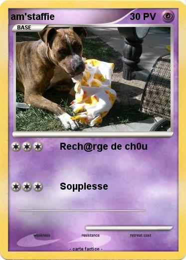 Pokemon am'staffie
