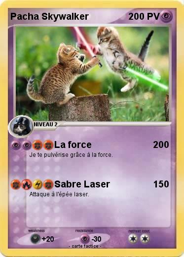 Pokemon Pacha Skywalker