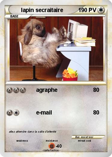 Pokemon lapin secraitaire
