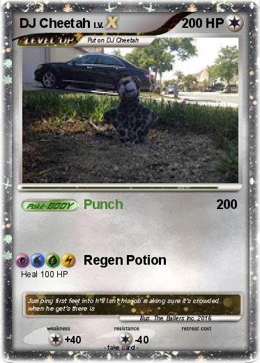 Pokemon DJ Cheetah