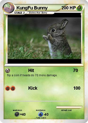 Pokemon KungFu Bunny