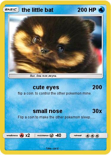Pokemon the little bat