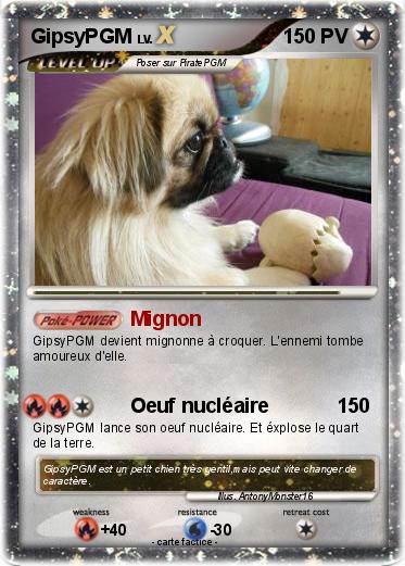 Pokemon GipsyPGM