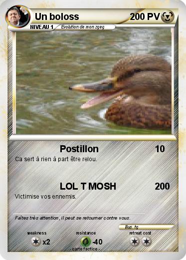 Pokemon Un boloss