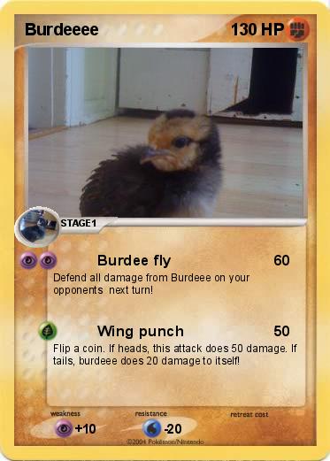 Pokemon Burdeeee