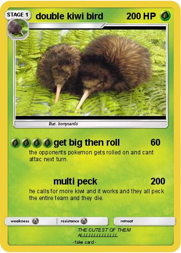 Pokemon double kiwi bird
