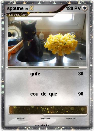 Pokemon spoune