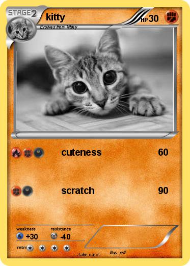 Pokemon kitty