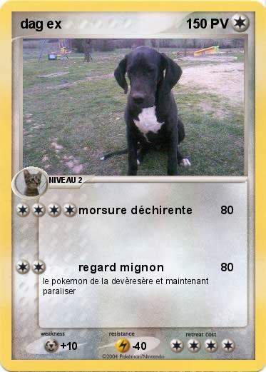 Pokemon dag ex