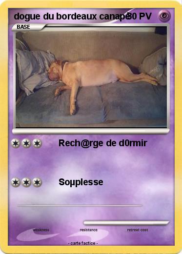 Pokemon dogue du bordeaux canapé
