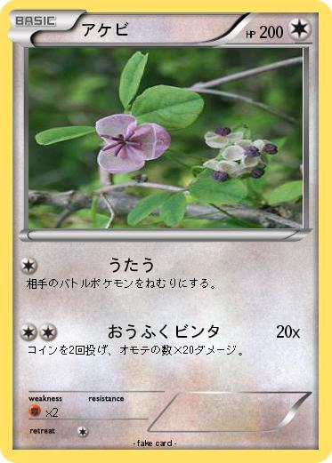 Pokemon アケビ