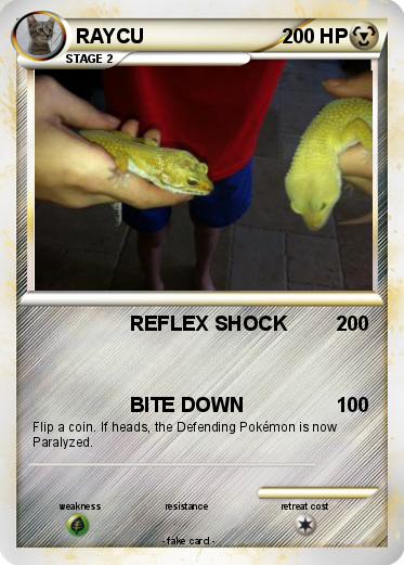Pokemon RAYCU