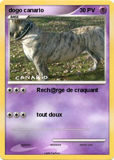 Pokemon dogo canario