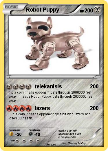 Pokemon Robot Puppy