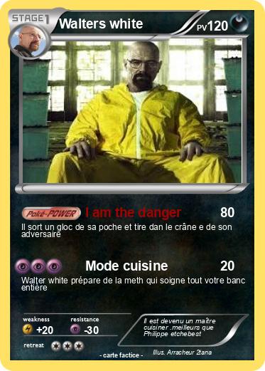 Pokemon Walters white