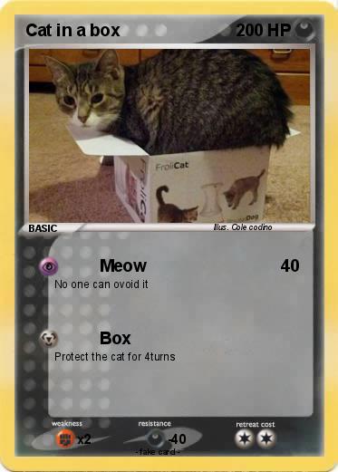Pokemon Cat in a box