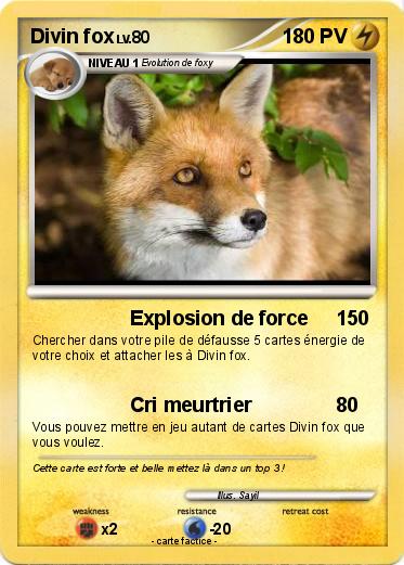 Pokemon Divin fox