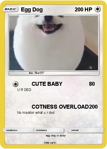 Pokemon Egg Dog