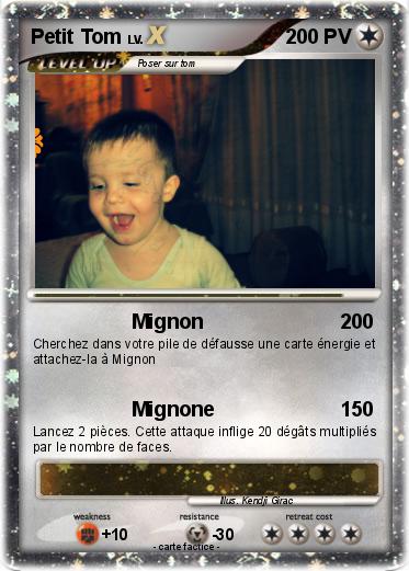 Pokemon Petit Tom
