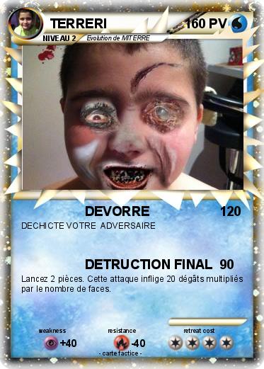 Pokemon TERRERI