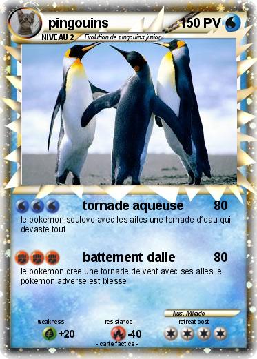 Pokemon pingouins