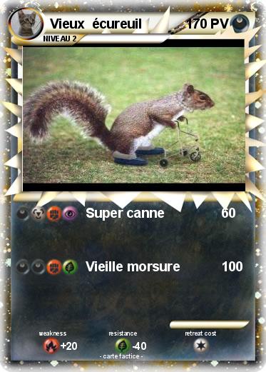 Pokemon Vieux  écureuil