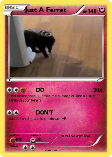 Pokemon Just A Ferret